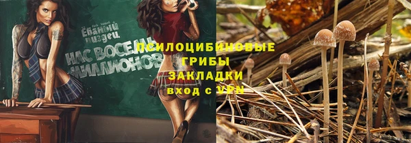 бошки Зерноград
