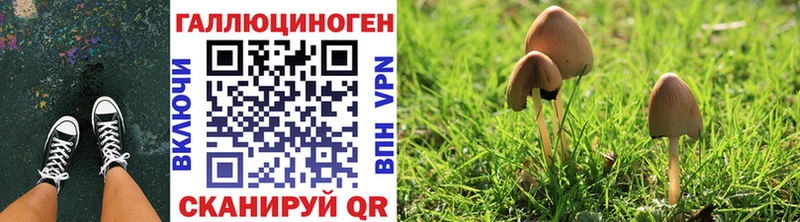 Галлюциногенные грибы мицелий  Купить  Кандалакша 